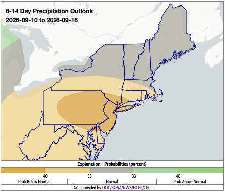 precip outlook